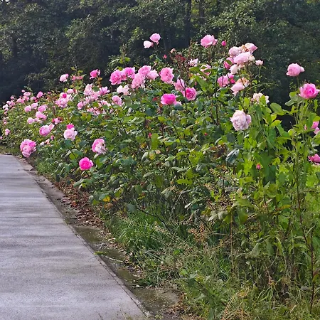 Harmonie Et Les Fees Du Flavion - Nocleg ze śniadaniem