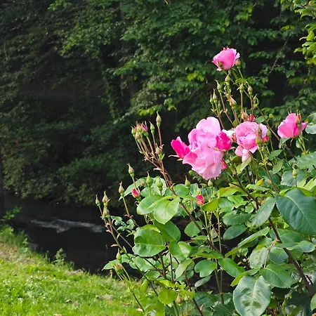 Harmonie Et Les Fees Du Flavion -